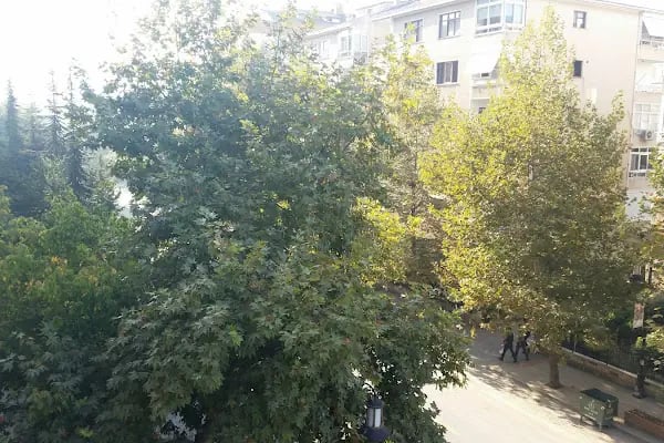 Üniversite Mensupları Sitesi - Resim 4