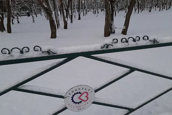 Barış Çamlık Camping &amp; Caravan (AİLE) - Resim 16