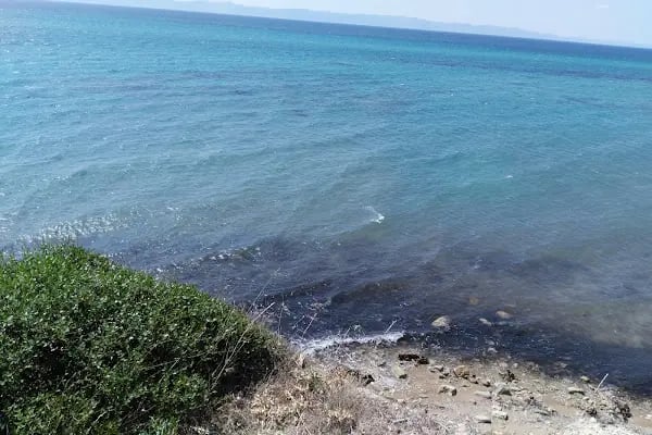 Danişment Tabiat Parkı - Resim 12
