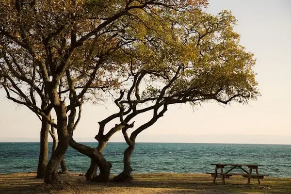 Danişment Tabiat Parkı - Resim 13