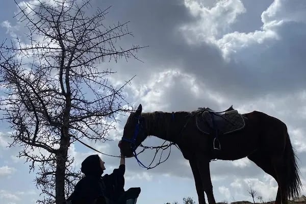 Hara Ankara Binicilik Kulübü - Resim 19