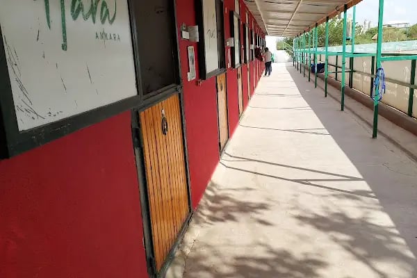 Hara Ankara Binicilik Kulübü - Resim 12
