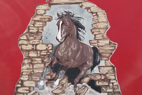 Hara Ankara Binicilik Kulübü - Resim 16