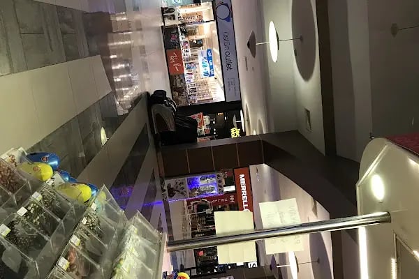 Festiva Outlet - Resim 4