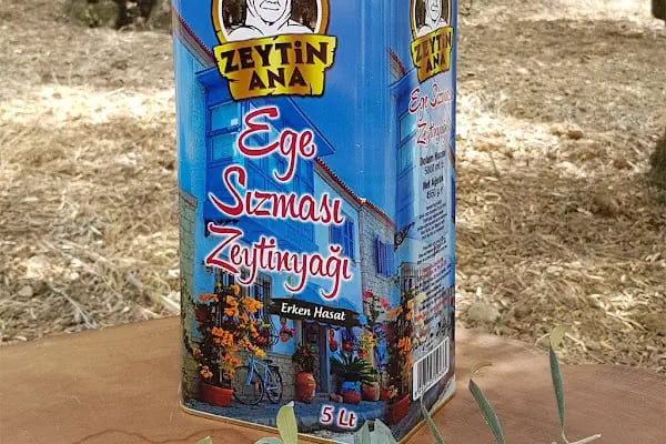 Zeytin Ana Gemlik - Resim 4