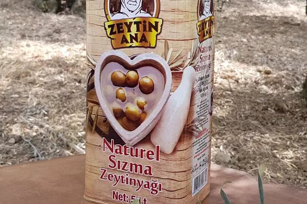 Zeytin Ana Gemlik - Resim 2