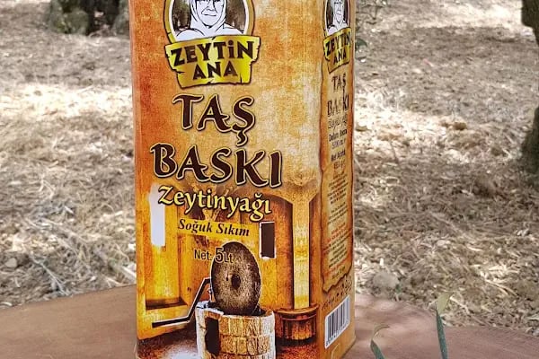 Zeytin Ana Gemlik - Resim 1
