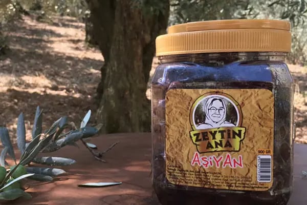 Zeytin Ana Gemlik - Resim 3