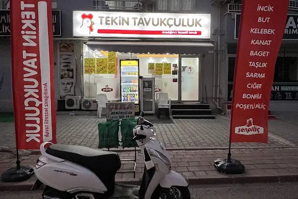 Tekin Tavukçuluk - Resim 5