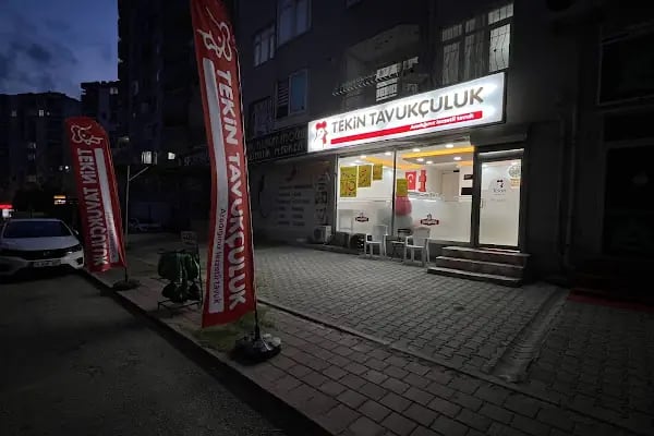 Tekin Tavukçuluk - Resim 10
