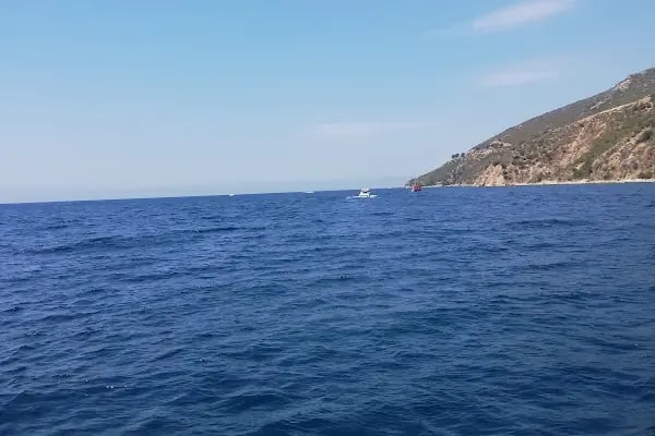 Gemlik Balıkçı Barınağı - Resim 16
