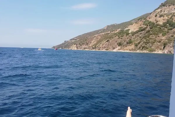 Gemlik Balıkçı Barınağı - Resim 5