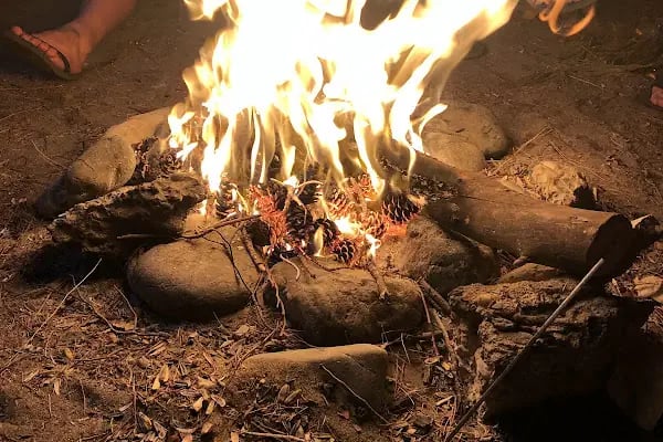 Talat Göktepe Tabiat Parkı Kamp Alanı - Resim 11