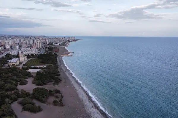 Talat Göktepe Tabiat Parkı Kamp Alanı - Resim 12