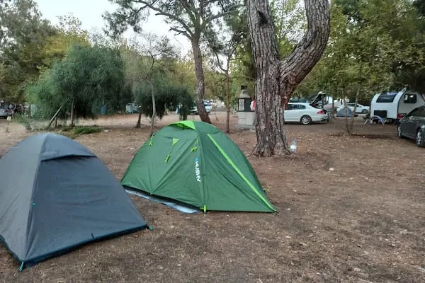 Talat Göktepe Tabiat Parkı Kamp Alanı - Resim 8
