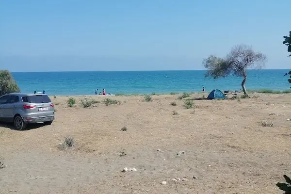 Talat Göktepe Tabiat Parkı Kamp Alanı - Resim 6