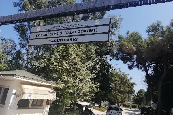 Talat Göktepe Tabiat Parkı Kamp Alanı - Resim 10
