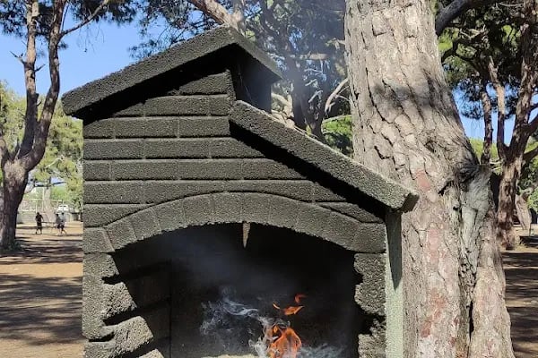 Talat Göktepe Tabiat Parkı Kamp Alanı - Resim 19
