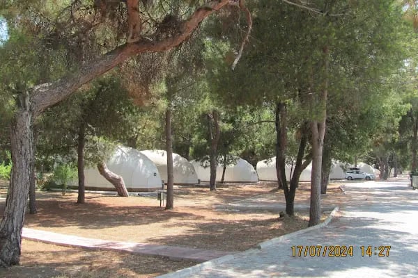 Talat Göktepe Tabiat Parkı Kamp Alanı - Resim 4