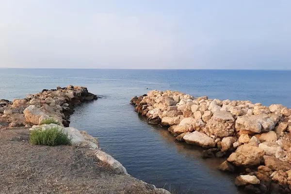 Talat Göktepe Tabiat Parkı Kamp Alanı - Resim 9