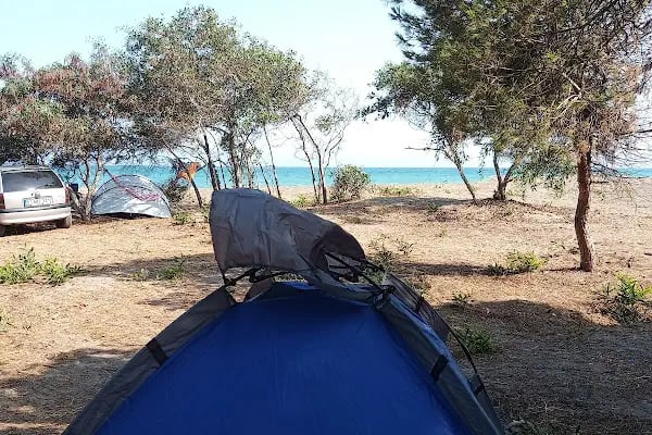 Talat Göktepe Tabiat Parkı Kamp Alanı - Resim 5