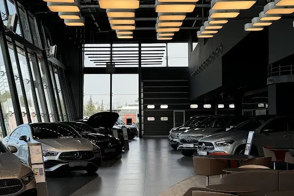 Mercedes-Benz Hasmer - Resim 6