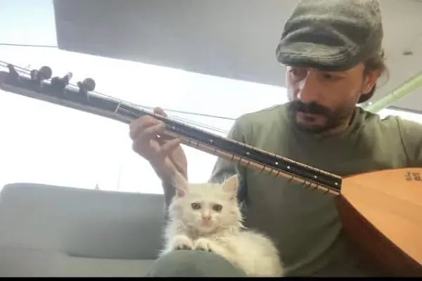 HD pet Veteriner Kliniği - Resim 6