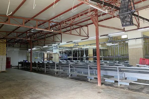 KORELİLER SEBZE MEYVE KOM.TİC. ve TUR.LTD.ŞTİ. - Resim 10
