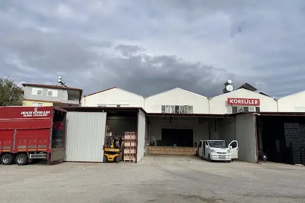 KORELİLER SEBZE MEYVE KOM.TİC. ve TUR.LTD.ŞTİ. - Resim 2