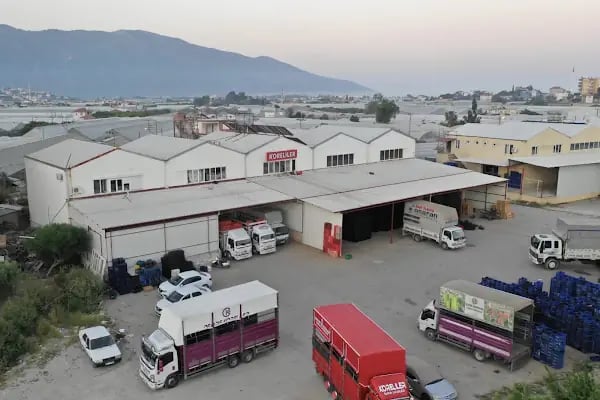 KORELİLER SEBZE MEYVE KOM.TİC. ve TUR.LTD.ŞTİ. - Resim 3