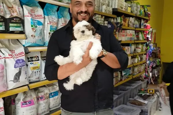 mini patiler petshop - Resim 2