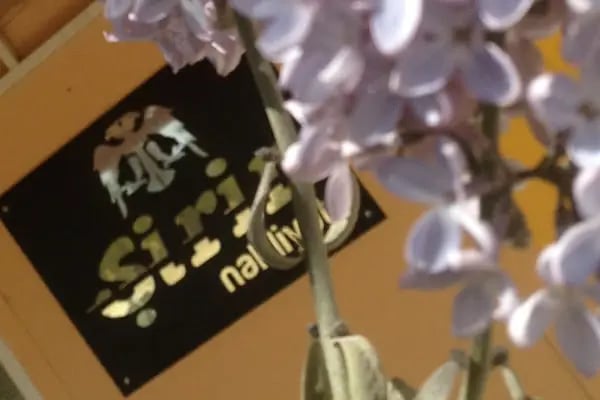 Şirin Nakliyecilik - Resim 2