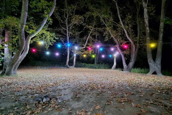 camping belemedik (camp area) - Resim 6
