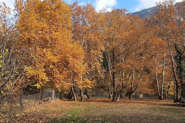 camping belemedik (camp area) - Resim 4