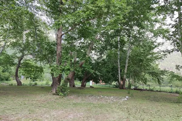 camping belemedik (camp area) - Resim 19