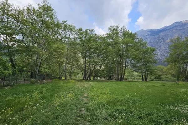 camping belemedik (camp area) - Resim 17