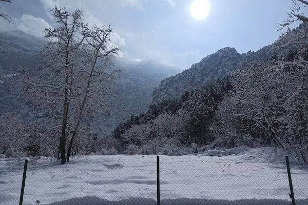 camping belemedik (camp area) - Resim 7