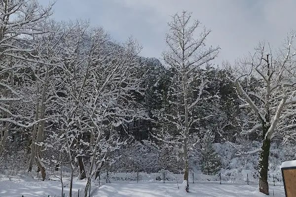 camping belemedik (camp area) - Resim 3
