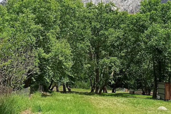 camping belemedik (camp area) - Resim 13