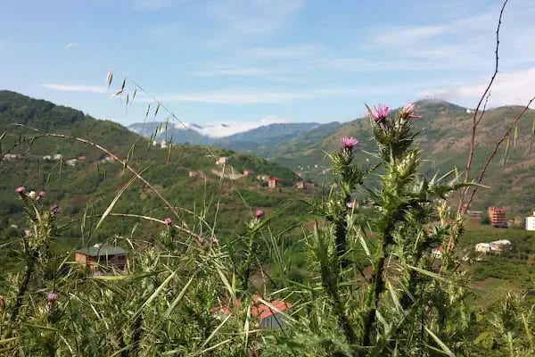 Demirci Mahallesi İlkokulu - Resim 15