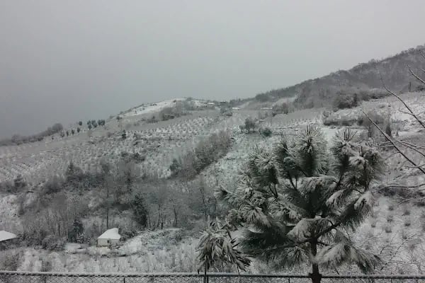 Demirci Mahallesi İlkokulu - Resim 18