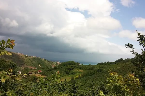 Demirci Mahallesi İlkokulu - Resim 7