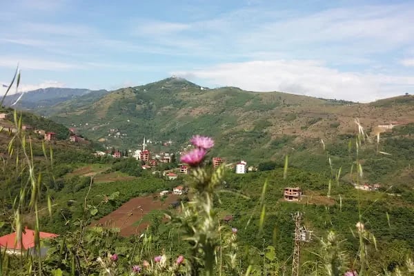 Demirci Mahallesi İlkokulu - Resim 10