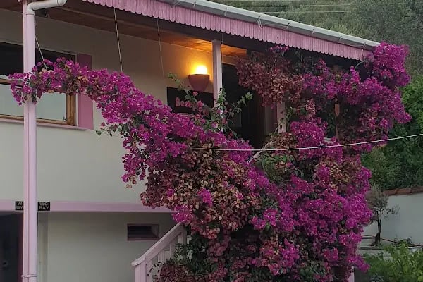 BİO DENGE OTEL - Resim 5