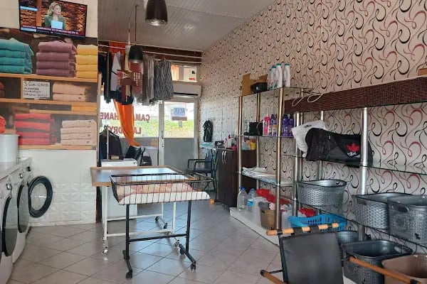 Elit Çamaşırhane / Laundry / Wäscherei - Resim 13