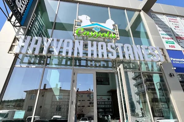 Özel Çayyolu Hayvan Hastanesi - Resim 2