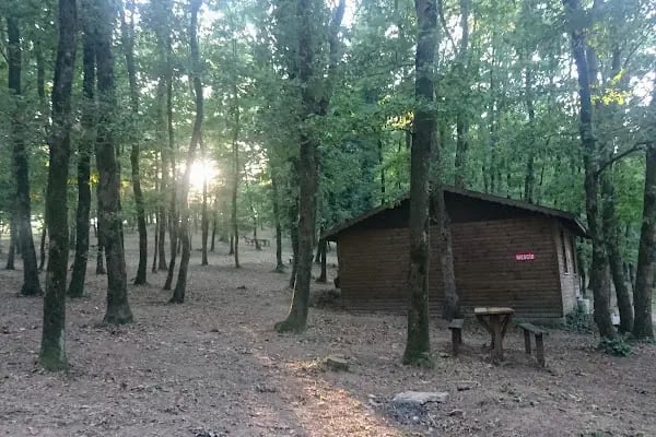Poyrazlar Gölü - Resim 14