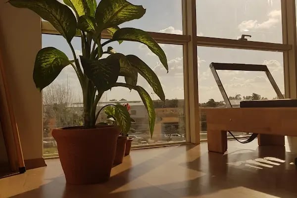 Anatomy Pilates Studio - Resim 6