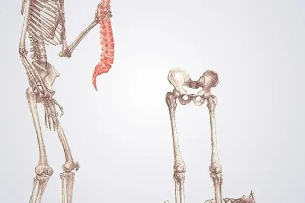 Anatomy Pilates Studio - Resim 19