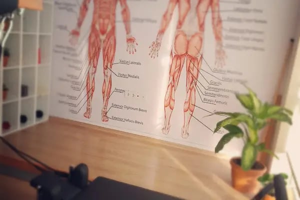 Anatomy Pilates Studio - Resim 7